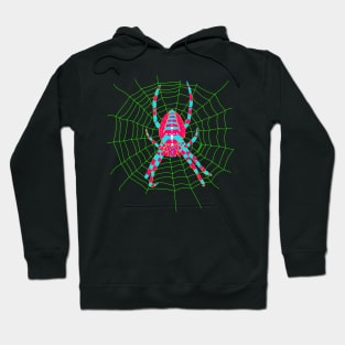 European garden spider (Araneus diadematus) Hoodie